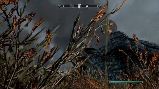 Skyrim [NO SKILLS] - Episode 3: I am Tiger-born!!