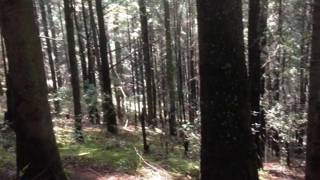 2 de septiembre de 2018 смотреть онлайн