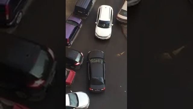 Зарули Дура! Смотреть со звуком!