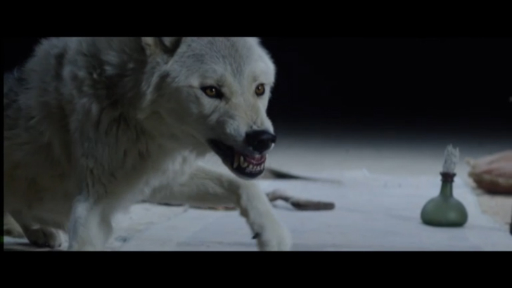 Премьера! The Kills - Siberian Nights (Official Video) 2016 смотреть онлайн