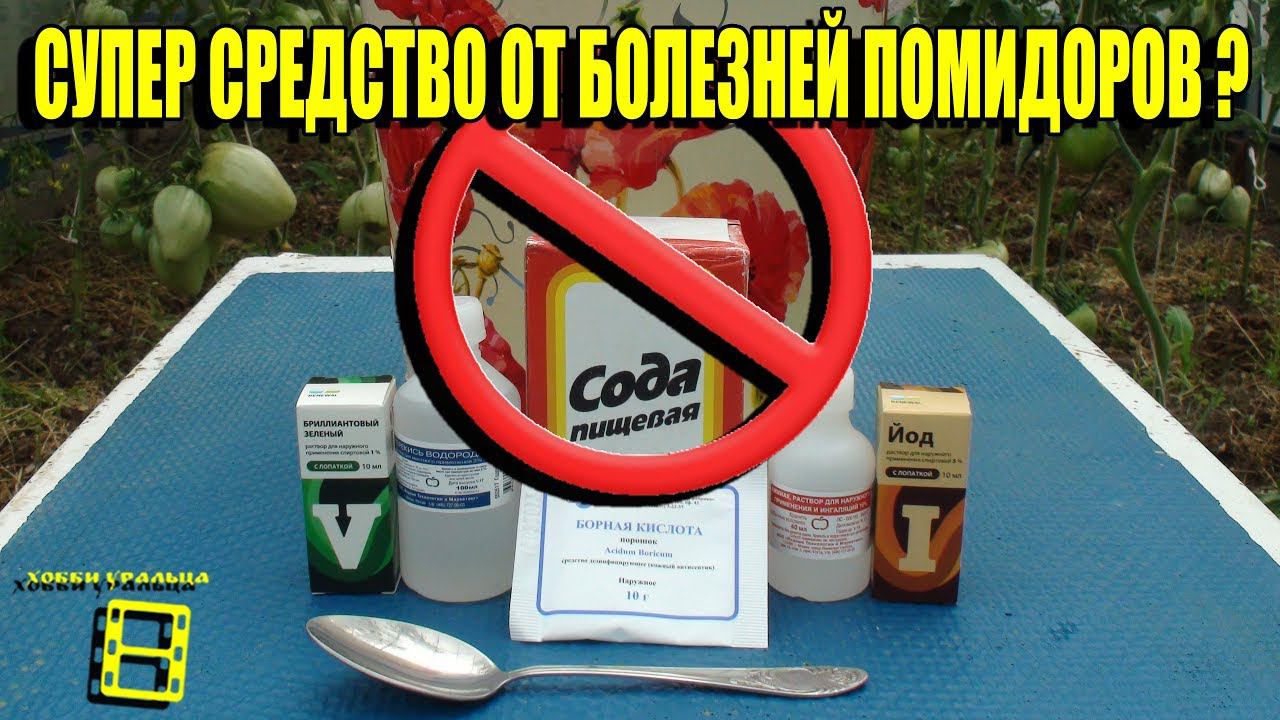 ЕСТЬ ЛИ ЛУЧШЕЕ СРЕДСТВО ПРОТИВ БОЛЕЗНЕЙ ПОМИДОРОВ? ФИТОФТОРА. САД (ОГОРОД) И ТЕПЛИЦА смотреть онлайн