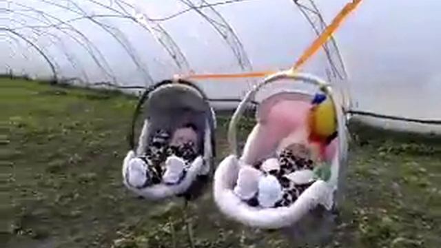 Двойня. смотреть онлайн