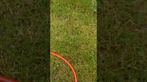 NORDBERG 2330 BC, настройка установки для слива масла