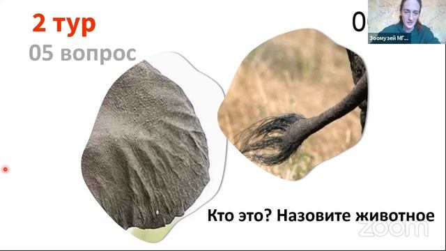 Викторина Зоомузей МГУ смотреть онлайн