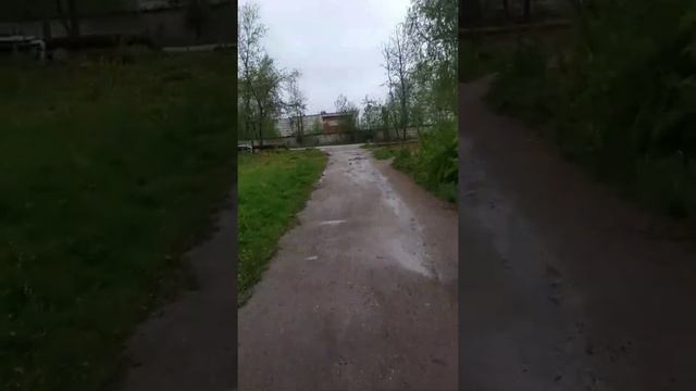 БЕГ (ТРЕНЕРОВКА) смотреть онлайн