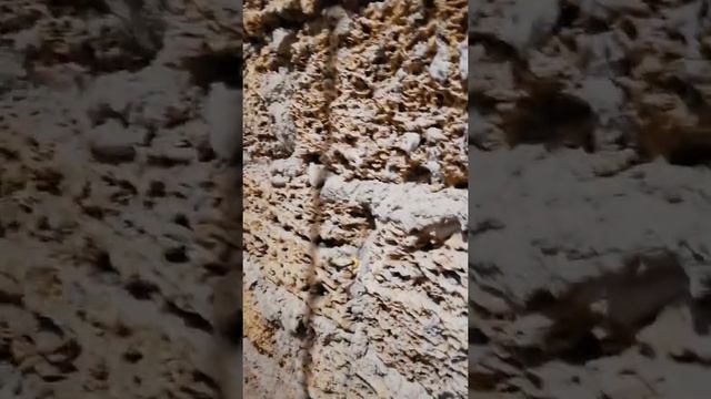 Быстрая установка штукатурных маяков(легко и быстро) смотреть онлайн