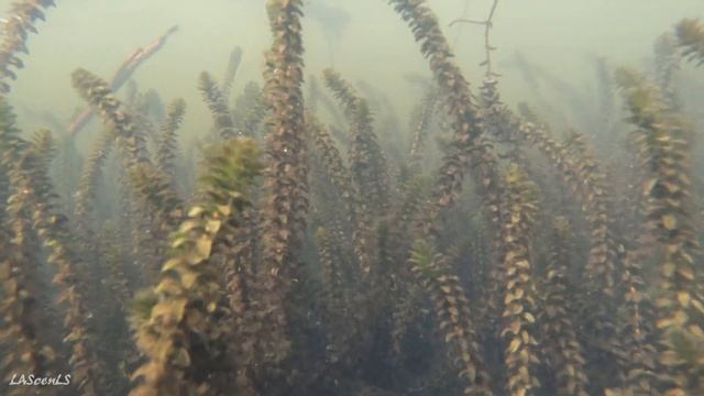 Из г. Чайковский до Ушаковских озёр на велосипеде [4K] смотреть онлайн