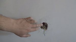 Установка подразетников до штукатурки.