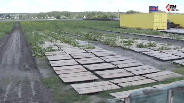 Ферма улиток под Харьковом / Snails House Farm / Разведение улиток в Украине смотреть онлайн