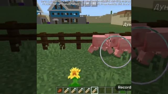 ДАЁМ КЛИЧКИ КУРАЧКАМ СВИНЬЯМ И КОНЯМ!ДОРИ ТРЭЛЛ.2 СЕРИЯ. смотреть онлайн