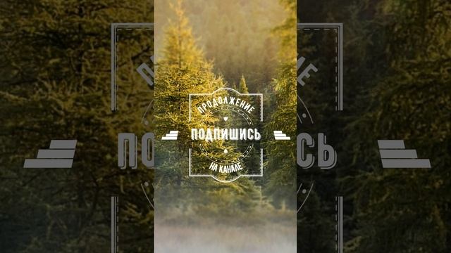 ?Кто бы отказался... #shorts смотреть онлайн