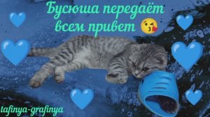 Видео 39. От Бусюши -Тафинюши вам привет 😻