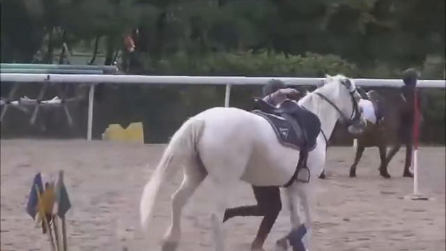 Entrainement Albane & Charlotte 06/09/2015 смотреть онлайн
