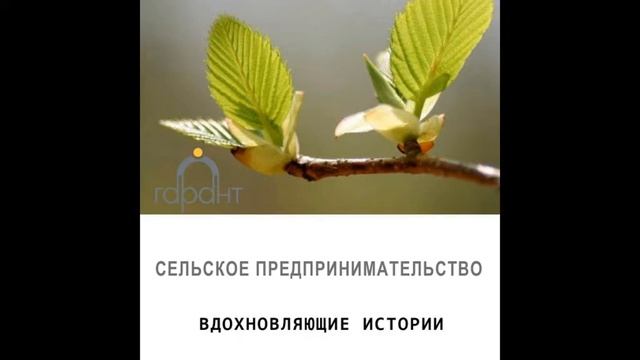 Николай Саидов  Фермер саксофонист и его тюльпаны