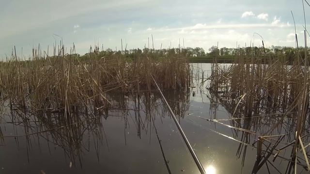 Рыбалка на карпа удочкой с боковым кивком с берега.Полезные советы смотреть онлайн