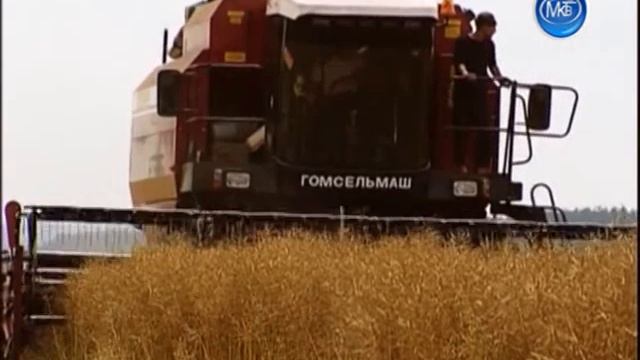 Молодечно мой любимый город смотреть онлайн