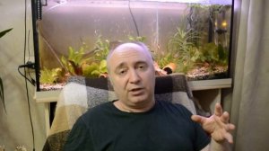 ЛИКБЕЗ для начинающих птицеводов.Урок №4: Режимы освещения в птичнике и брудере.Типы ламп для птицы