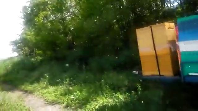 Кочевая пасека на белой акации май 2020 смотреть онлайн
