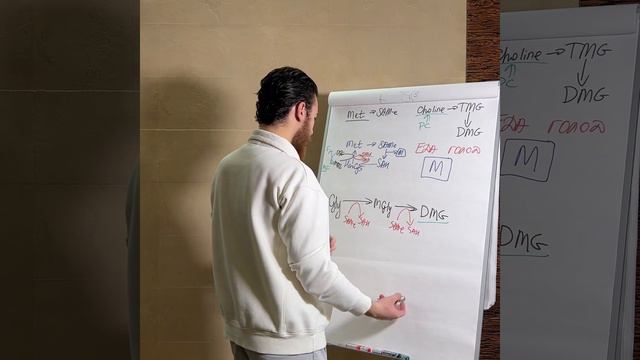 Буферизация метильных групп смотреть онлайн