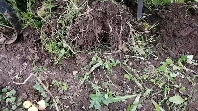 А все таки мы её достанём! смотреть онлайн