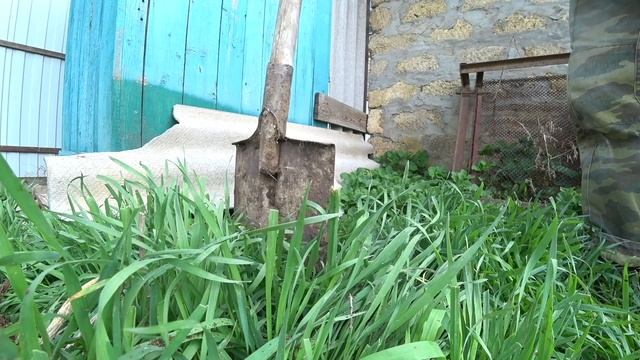 Сюжет из жизни в деревне о том, как я пересадил куст дикого (девичьего) винограда у себя на фазенде смотреть онлайн