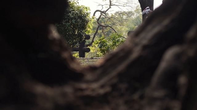 Hanna & Ruben | Save the Date Video смотреть онлайн