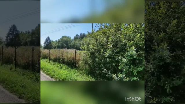 Вашему вниманию предлагаю участок 10 соток в СНТ Старицкое д. Хлевино, 55 км от МКАД. смотреть онлайн