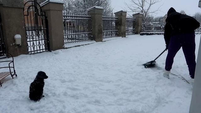 Vlog 4. ⛄?Новая жизнь. Как прошли наши Новогодние каникулы.?⛄ смотреть онлайн