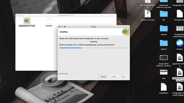 How to Setup PostgreSQL and pgAdmin on Mac OS смотреть онлайн
