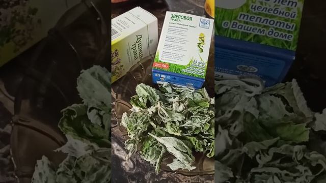 ЧАЙ ЧИНГИСХАНА смотреть онлайн