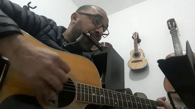 Redemption Song (Bob Marley). Gaita de Boca e Violão. смотреть онлайн