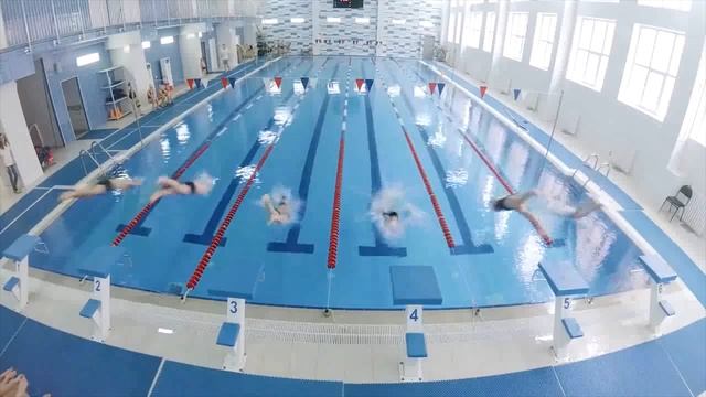 ШСиОП "ДЕЛЬФИН" смотреть онлайн