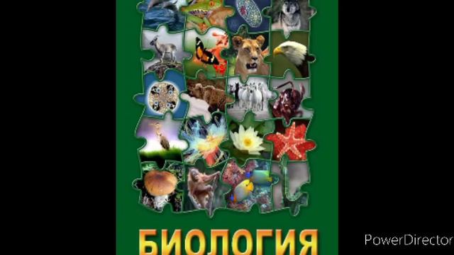 #42 Класс земноводные. Биология 7 кл. смотреть онлайн