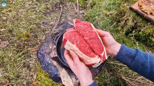 TENDER And JUICY Steaks Cooked In Nature   Cooking ASMR Compilation