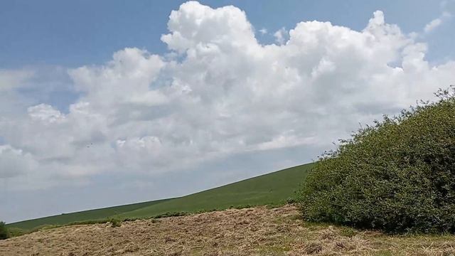 Сінокос 2022. Заготовка сіна на зиму. Kubota знову в роботі. смотреть онлайн