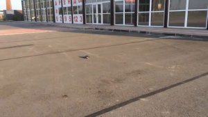 Детская машинка которая едет 20 км в час