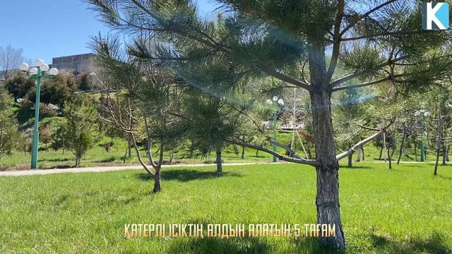 ҚАТЕРЛІ ІСІКТІҢ АЛДЫН АЛАТЫН 5 ТАҒАМДЫ БІЛІП ЖҮРІҢІЗ, Пайдалы кеңес, Керек арнасы смотреть онлайн