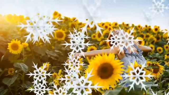 ФУТАЖ - ПОДСОЛНУХИ В СНЕЖИНКАХ смотреть онлайн