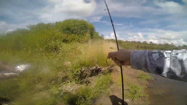 РЫБАЛКА на большерота / Рыбалка в Амурской области / Таких "кабанов" я еще не ловил смотреть онлайн