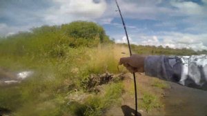 РЫБАЛКА на большерота / Рыбалка в Амурской области / Таких «кабанов» я еще не ловил