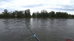 Рыбалка на реке Бия. Хариус на ТИРОЛЬКУ.