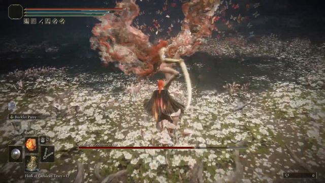 MAKIMA VS MALENIA - NO DAMAGE TAKEN NG+7 (ELDEN RING) смотреть онлайн