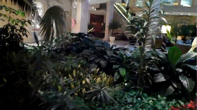 Москва Крокус Сити Молл смотреть онлайн