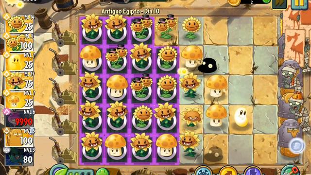 la mayor cantidad de soles de rábano casillero #pvz2 смотреть онлайн