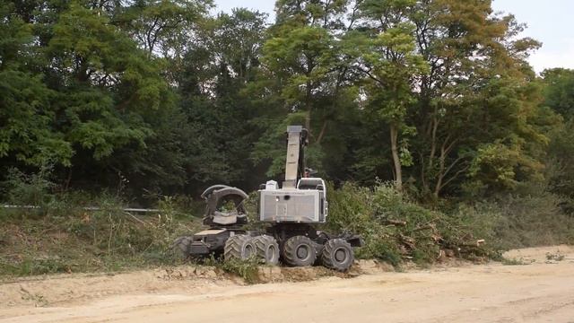 TimberPro TF830-B Feller Buncher JEAN FREON Elagage