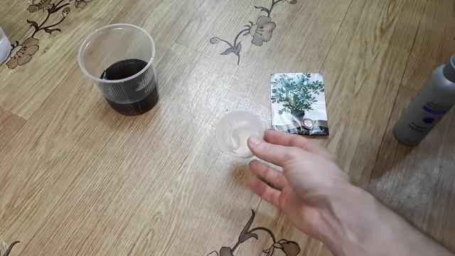 Размножение Шеффлеры. Посев семян. Зачем нужен гумат