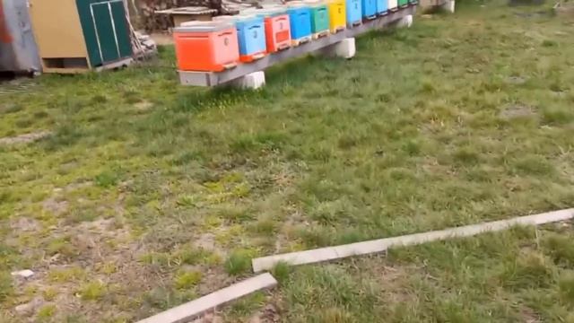 Весенний Старт Дубль 2!!! смотреть онлайн