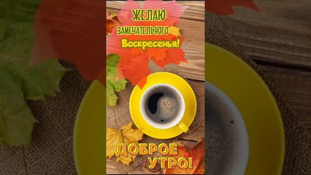 С добрым осенним утром!