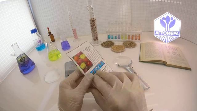 Цинния Бурпана.  СеДеК