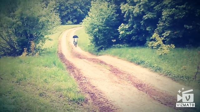 Прыжок на мотоцикле смотреть онлайн